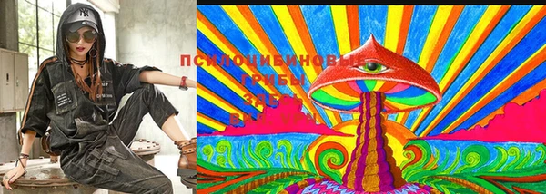 мескалин Богданович
